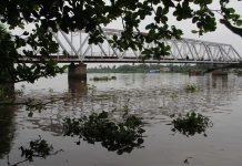 Điểm mặt 5 cây cầu gắn với lịch sử Bình Dương