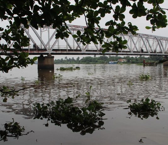 Điểm mặt 5 cây cầu gắn với lịch sử Bình Dương