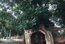 Thăm ngôi đình “phim trường hollywood” gần 200 năm tuổi ở Thủ Dầu Một