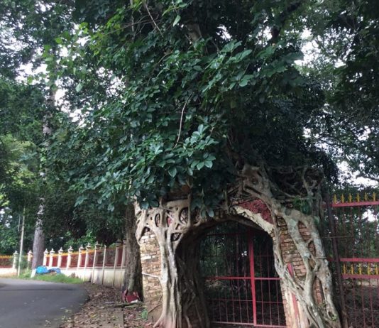 Thăm ngôi đình “phim trường hollywood” gần 200 năm tuổi ở Thủ Dầu Một