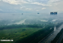 Ngắm trọn bộ ảnh thành phố mới Bình Dương “ảo diệu” dưới mây mù