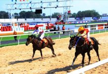 Ông Huỳnh Uy Dũng xây trường đua ngựa 100 triệu đô vì chiều ý vợ