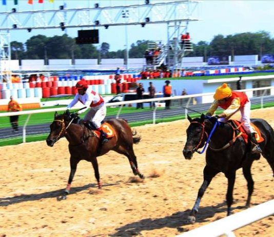 Ông Huỳnh Uy Dũng xây trường đua ngựa 100 triệu đô vì chiều ý vợ