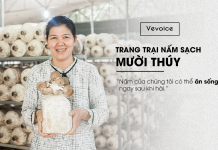 Trang trại nấm sạch Mười Thuý Bắc Tân Uyên – Ra đời từ cái tâm của một người ăn chay