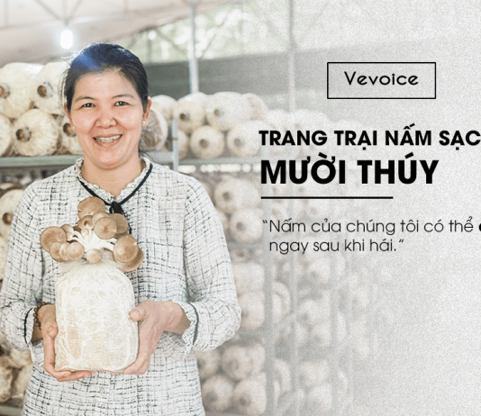 Trang trại nấm sạch Mười Thuý Bắc Tân Uyên – Ra đời từ cái tâm của một người ăn chay