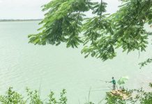 Đi tìm nguyên nhân nước hồ Dầu Tiếng xanh đậm đặc như sơn