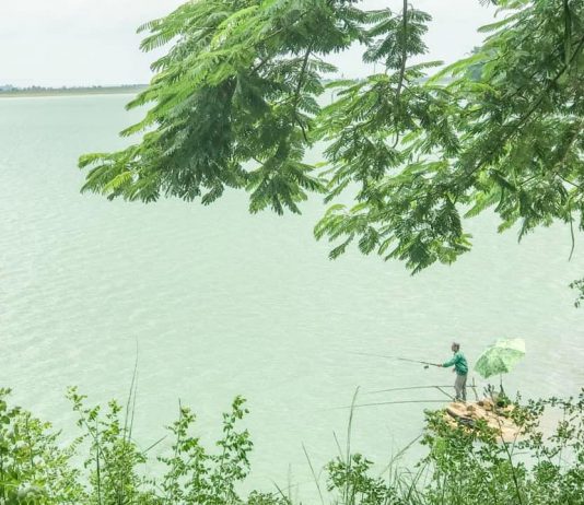 Đi tìm nguyên nhân nước hồ Dầu Tiếng xanh đậm đặc như sơn