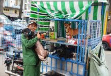 Người đàn ông quê Bến Cát, Bình Dương hơn 20 năm cưu mang, chở chó đi khắp Sài Thành