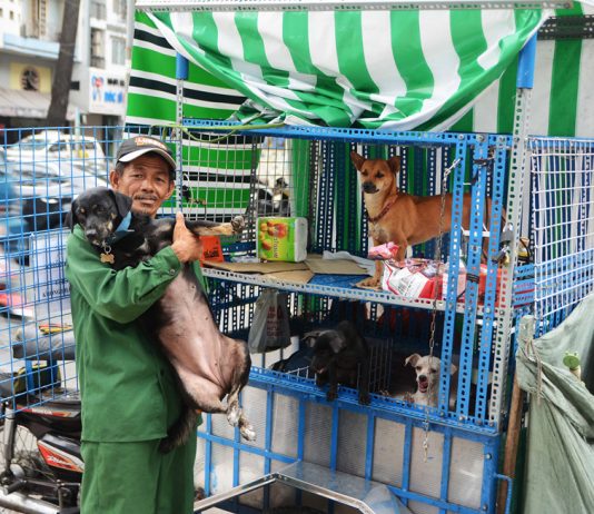 Người đàn ông quê Bến Cát, Bình Dương hơn 20 năm cưu mang, chở chó đi khắp Sài Thành