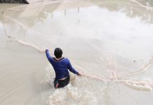 Thủ Dầu Một: Bung lưới bắt cá như dân chài chính hiệu ở Suối Giữa