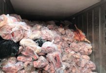 Clip: Phát hiện 3 container chứa 20 tấn thịt heo thối bốc mùi ở Bình Dương