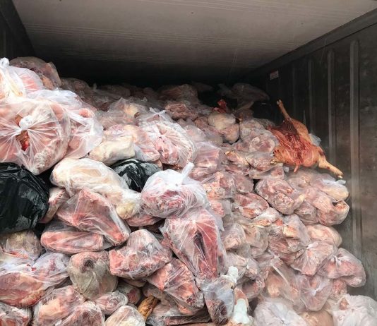 Clip: Phát hiện 3 container chứa 20 tấn thịt heo thối bốc mùi ở Bình Dương