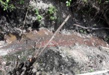 Thuận An: Đột kích cơ sở giết mổ bị “tố” xả thải gây ô nhiễm môi trường