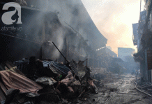 Không ăn thực phẩm nuôi trồng trong bán kính 1km sau vụ cháy Công ty Rạng Đông