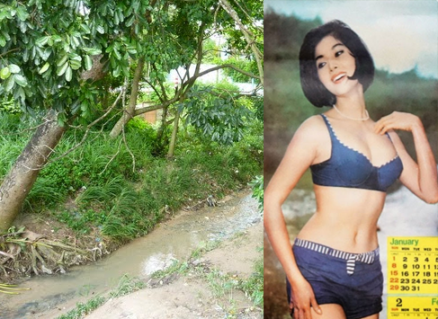 Suối Lồ Ồ – Điểm du ngoạn thơ mộng nổi tiếng bậc nhất ở Dĩ An năm xưa giờ ra sao?