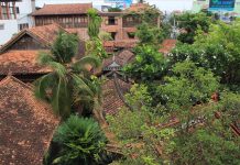 Ngắm bộ ảnh “độc” bật mí bên trong bảo tàng dược học cổ truyền ở Bình Dương