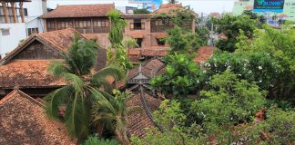 Ngắm bộ ảnh “độc” bật mí bên trong bảo tàng dược học cổ truyền ở Bình Dương