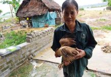 Thủy điện xả nước cuốn trôi cầu đường, dân Hà Tĩnh tất tả ôm lợn, gà chạy lũ