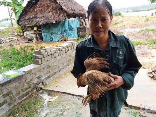 Thủy điện xả nước cuốn trôi cầu đường, dân Hà Tĩnh tất tả ôm lợn, gà chạy lũ