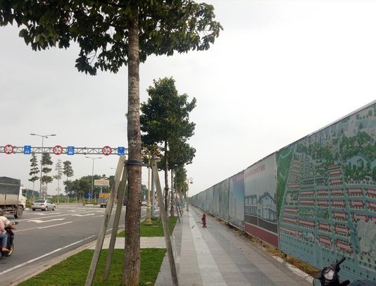 Bình Dương: Chuyển nhượng 43 ha đất công, có dấu hiệu thất thoát hàng nghìn tỷ đồng