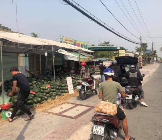 Địa điểm “giải cứu dưa hấu” tại Bình Dương mùa dịch Corona