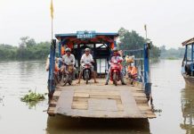 Cảnh báo về việc có thể có cá sấu ở khu vực phà Phú Cường