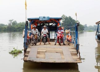 Cảnh báo về việc có thể có cá sấu ở khu vực phà Phú Cường